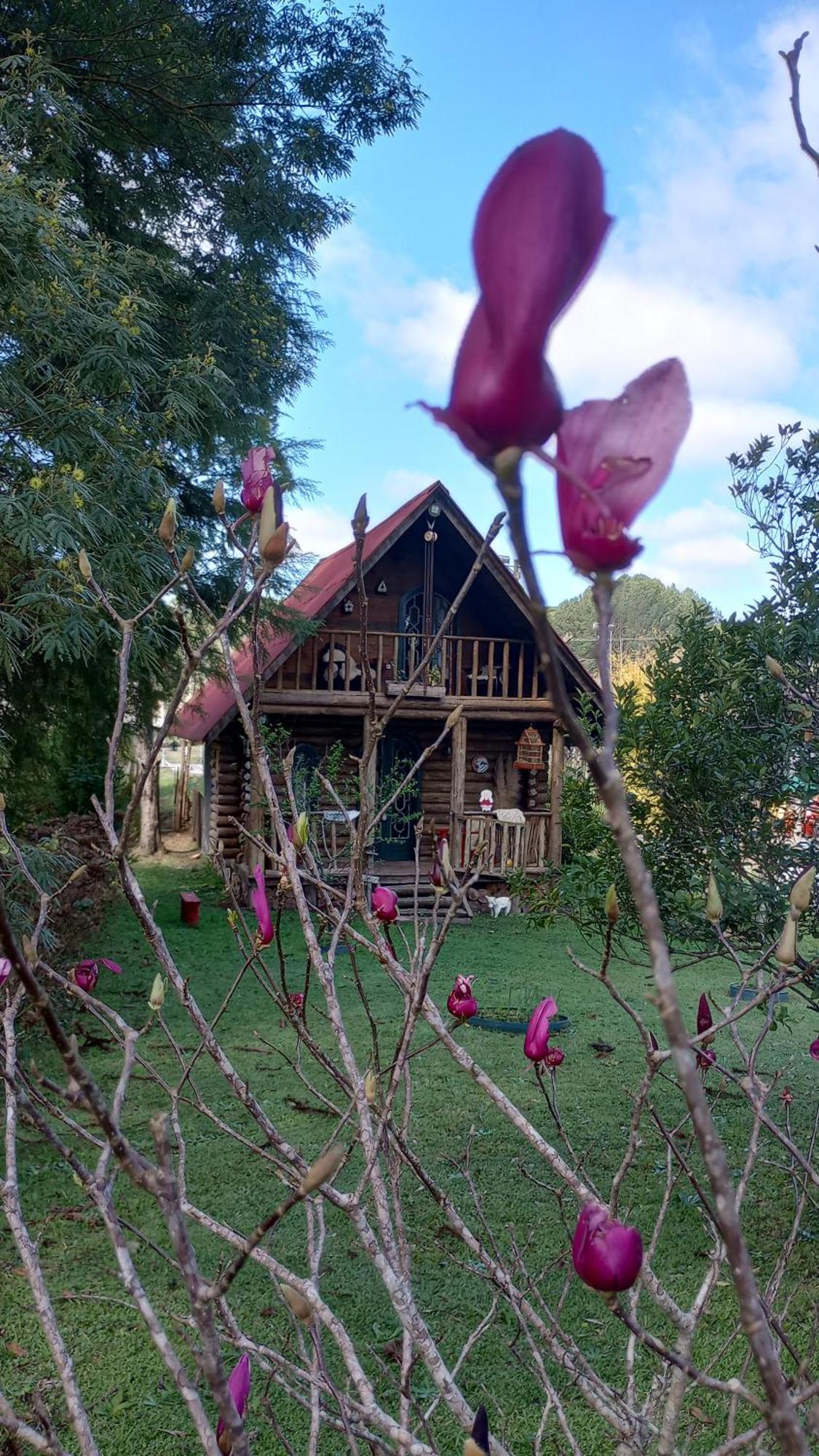 Casa De Toras Hotel Campo Alegre  Bagian luar foto