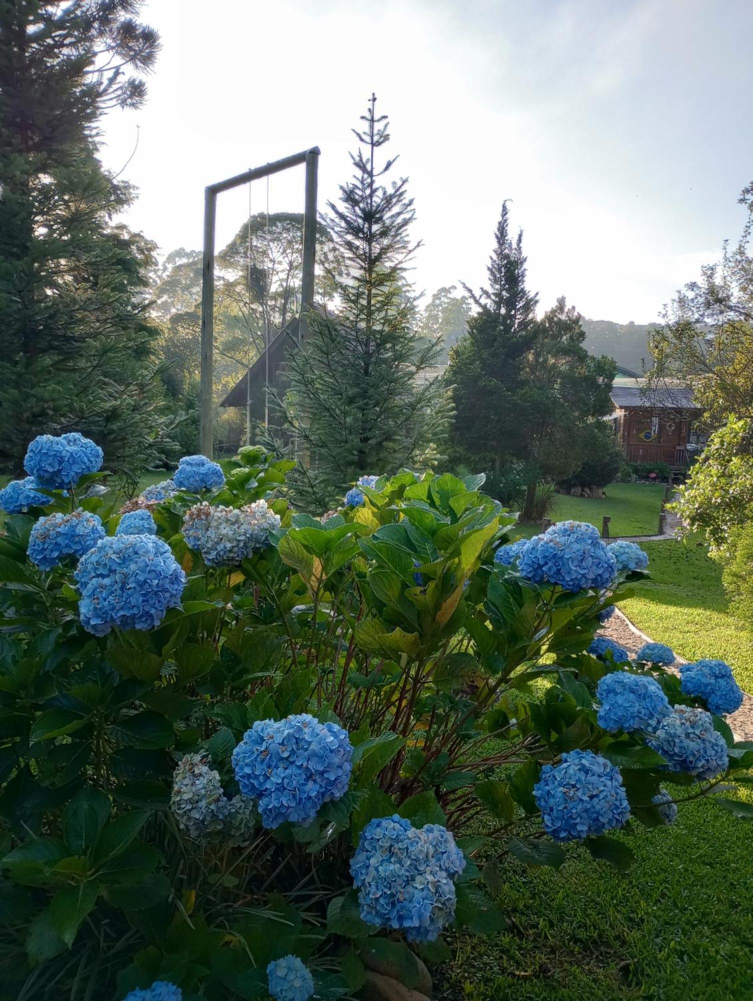 Casa De Toras Hotel Campo Alegre  Bagian luar foto